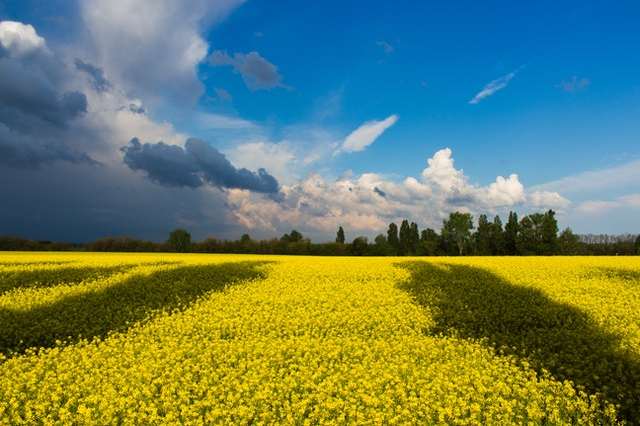 prywatny-detektyw-ukraina